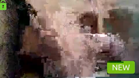 chris and Mr. Kinky online show from March 2, 6:47 pm