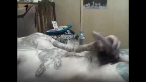 mrfumao online show from June 5, 7:03 am