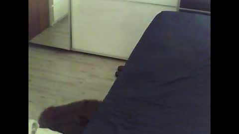 Nikola online show from March 10, 10:50 am