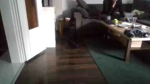 Nikola online show from February 17, 11:02 am