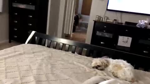 mrrogue online show from November 1, 5:17 am