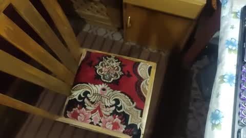 zenon online show from December 20, 10:06 pm