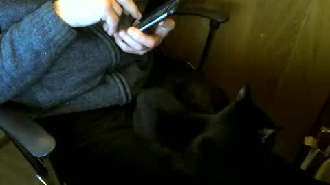 muller520 online show from March 6, 4:17 pm