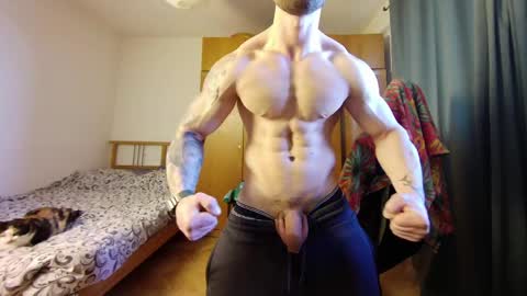 musle joker online show from March 26, 9:14 am