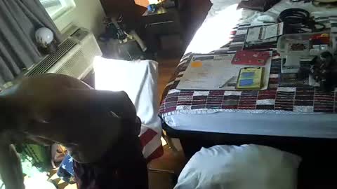 LA MARIPOSA DE MARICOPA online show from November 29, 4:14 pm