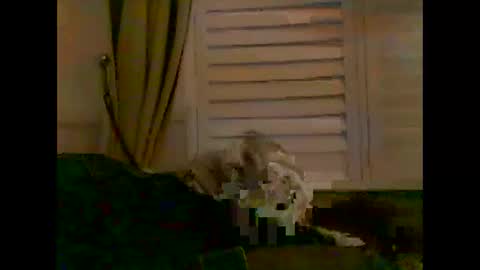 mycockissohard2021 online show from May 2, 3:56 am