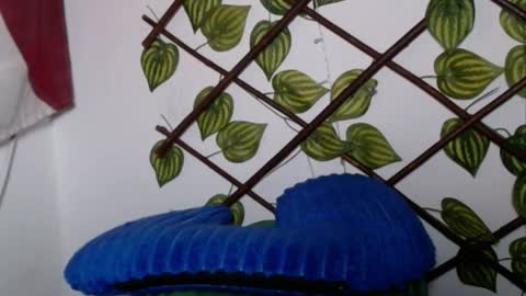 my negrito online show from April 12, 7:45 am