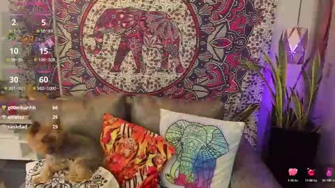 Snapshot of mysaris3 chatting on February 10, 8:21 pm S A R A online show from February 10, 8:21 pm