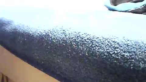 Nane online show from December 18, 2:45 pm