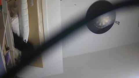 nastyirly online show from November 1, 7:24 pm