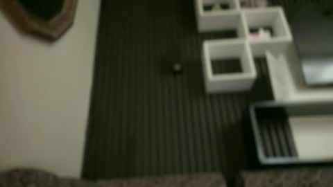 Rose Wilson online show from October 25, 5:46 pm