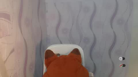 Celine online show from April 9, 12:36 am