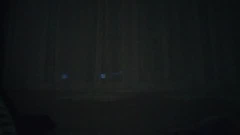 Snapshot of nemcahot chatting on November 1, 5:56 pm nemcahot online show from November 1, 5:56 pm