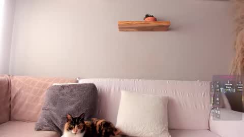 Jordan online show from March 25, 12:23 pm