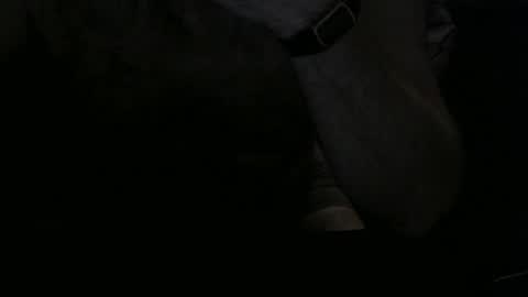 NeoTwo Bear Daddy online show from October 27, 12:38 pm