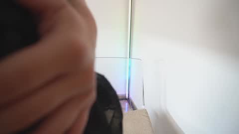 new dee online show from November 25, 3:11 pm