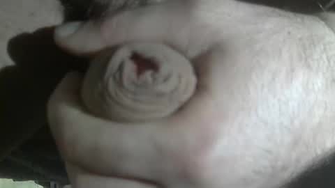 ni983 online show from November 17, 11:46 am