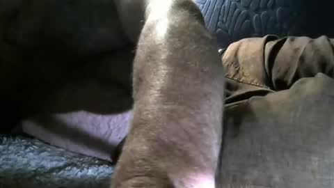 OldMadtown Guy online show from October 18, 4:05 am