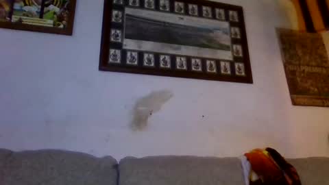 Sexiishaine online show from November 26, 3:04 am