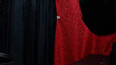 NICOLLE online show from November 26, 12:41 am