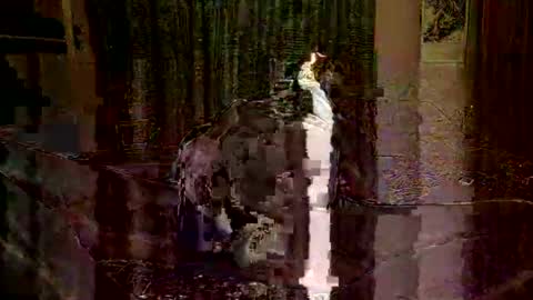 NaughtyDaddy online show from February 6, 7:49 pm