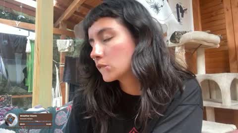 Nina.  online show from November 14, 8:00 pm