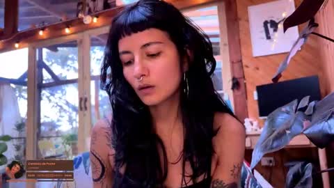 Nina.  online show from February 20, 9:06 pm