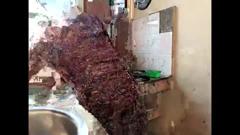 Nisha online show from January 28, 2:43 am