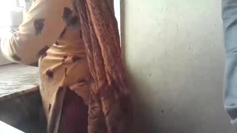 Nisha online show from January 29, 2:30 am