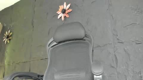 Noah online show from February 19, 5:39 am