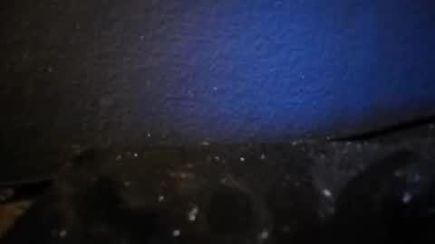 Nocycle000 online show from September 14, 6:53 pm