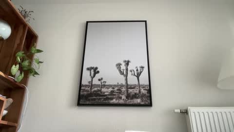 nolo34 online show from March 11, 2:31 pm