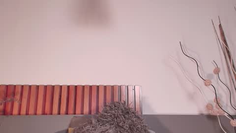 Snapshot of nora_dasilva chatting on September 29, 11:26 pm Nora Da Silva online show from September 29, 11:26 pm