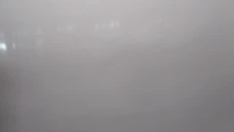 NORMALITO online show from January 8, 12:22 pm