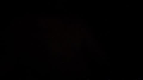 Manu online show from January 17, 4:11 am