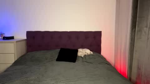 Tina online show from November 8, 8:56 pm