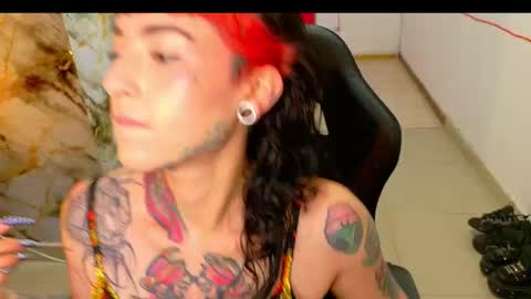 Nova kitty tx online show from March 7, 11:10 am