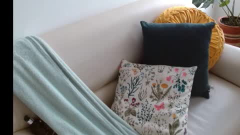 novaperotti online show from November 5, 6:54 pm