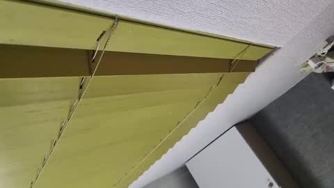 oitxmnnevrcz online show from March 1, 9:52 pm