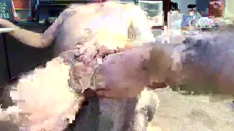 Snapshot of onelargecock0615 chatting on January 19, 3:10 pm Unpredictable online show from January 19, 3:10 pm