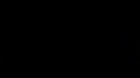 oralzoo2 online show from September 13, 7:05 pm