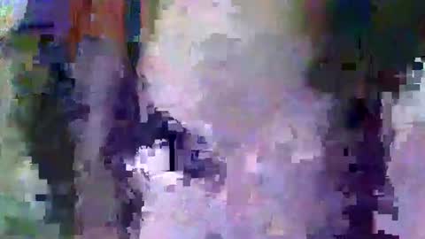 oretrail online show from February 11, 5:37 am