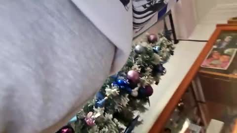 orlandovilla48 online show from December 5, 12:36 pm