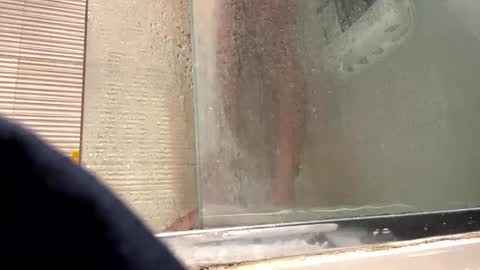 orn74 online show from December 31, 9:17 pm