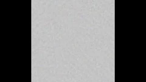 Oso Licencioso online show from November 25, 3:05 am