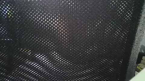 Snapshot of ossy70 chatting on February 10, 1:01 pm ossy70 online show from February 10, 1:01 pm