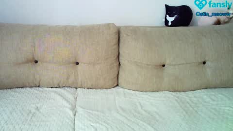 Snapshot of ostin_meoww chatting on March 8, 5:17 am Ostin online show from March 8, 5:17 am