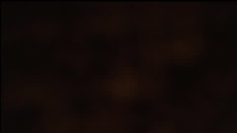 paiper online show from January 26, 10:23 am