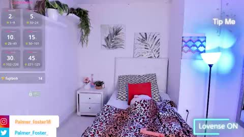 Palmer  online show from February 26, 9:31 pm