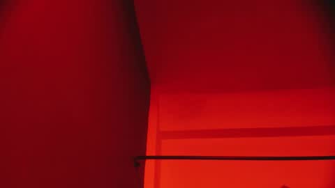  P A M  online show from December 15, 8:49 pm